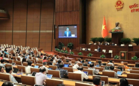 Họp Quốc hội: Đề xuất tiếp tục miễn thuế sử dụng đất nông nghiệp đến hết 2030